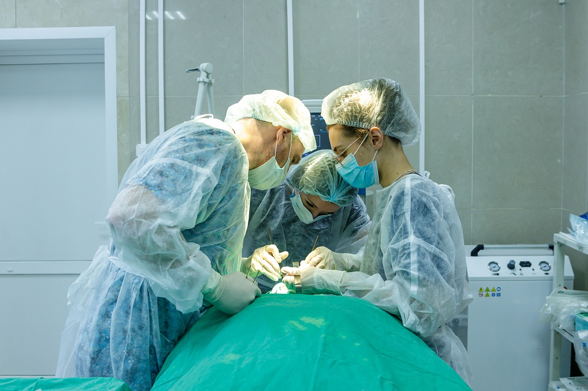 Люберецкие хирурги впервые за свою практику вытащили гельминта из щеки пациентки