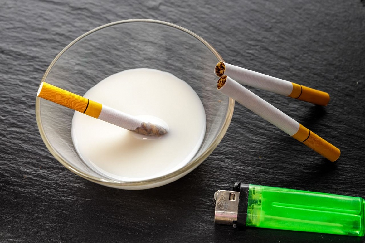 Помогает ли молоко против курения, рассказал люберецкий доктор